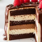 Close-up of a slice of Tuxedo Chocolate Cake, showcasing the layers of dark and white chocolate mousse and ganache.